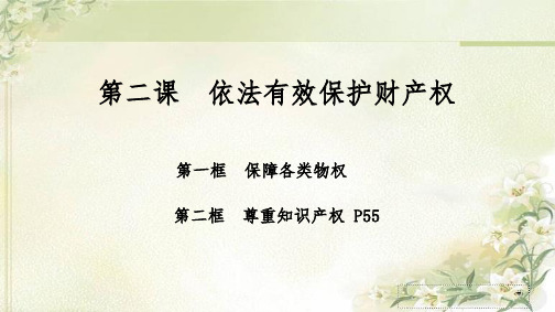 新教材 统编版高中政治选择性必修2 第二课  依法有效保护财产权 精品教学课件