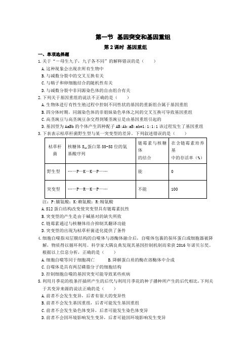 高一下学期生物-基因突变与基因重组练习题