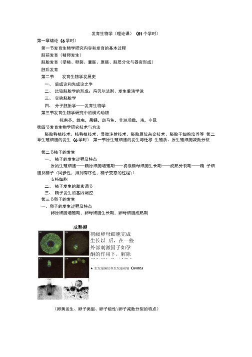 发育生物学总复习.doc