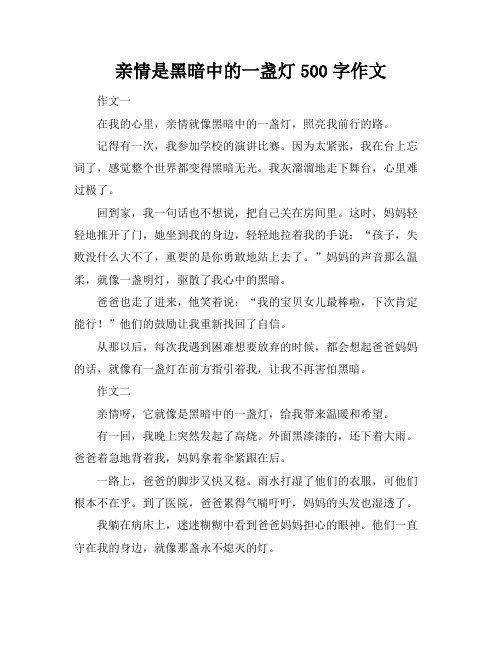 亲情是黑暗中的一盏灯500字作文