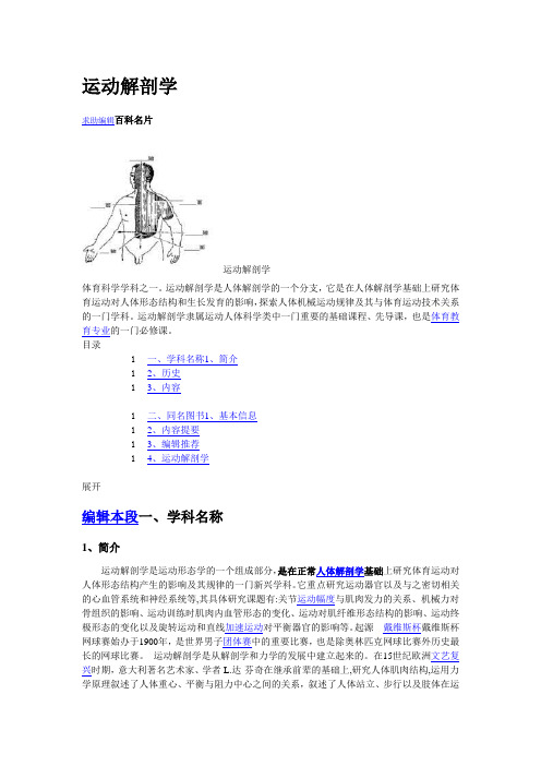 运动解剖学