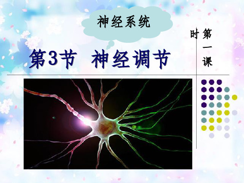 浙教版八年级上册科学第三章课件—3.3神经调节(1)