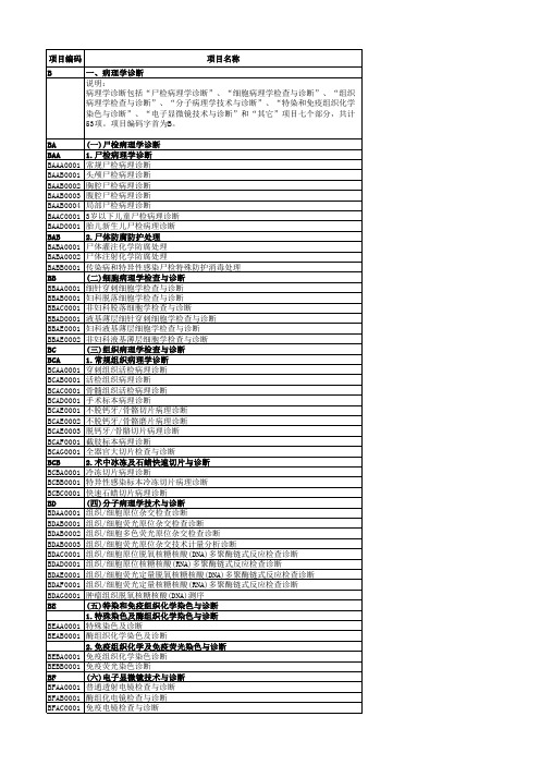 HBCV04.30.002湖北省检查项目分类与代码表