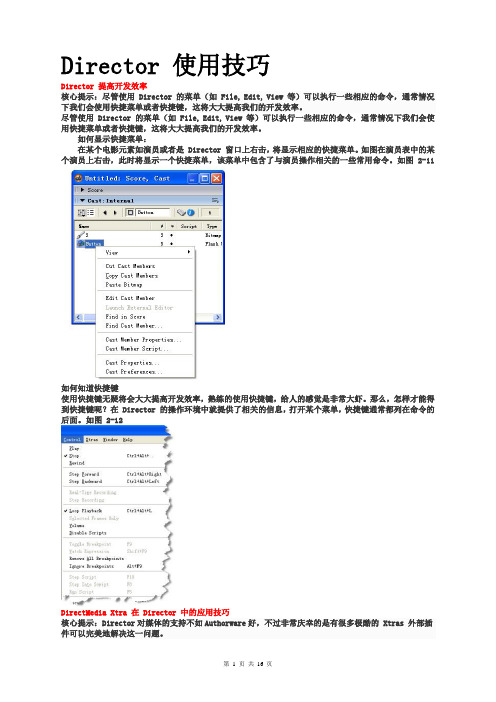 Director 使用技巧