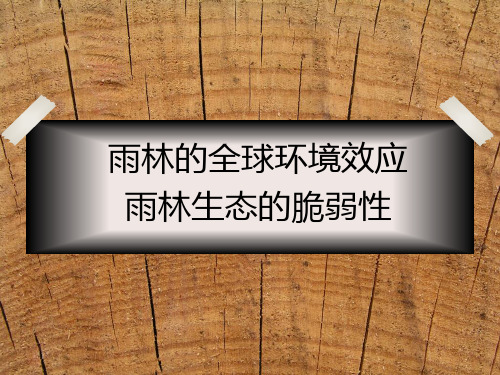 人教版高中地理优质课件14：2.2.1雨林的全球环境效应 雨林生态的脆弱性