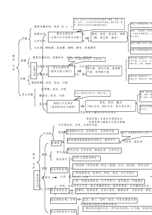 生物化学思维导图