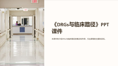 《DRGs与临床路径》课件