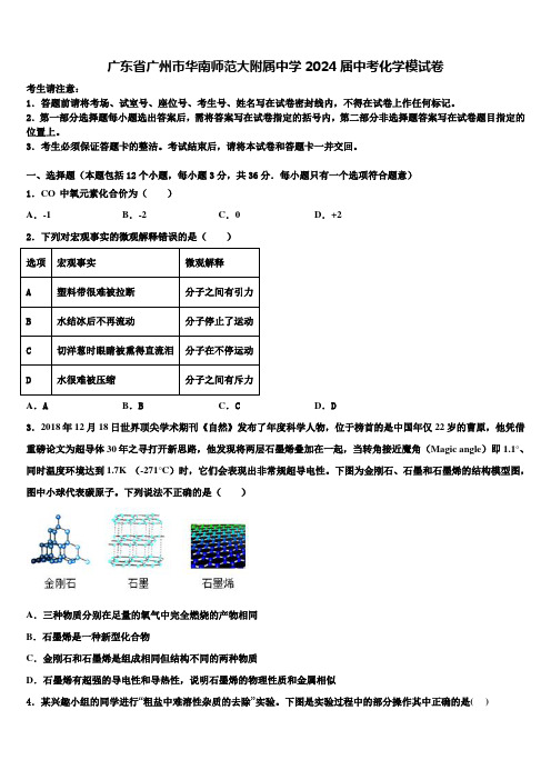 广东省广州市华南师范大附属中学2024届中考化学模试卷含解析