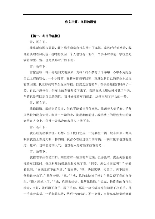 作文三篇：冬日的温情