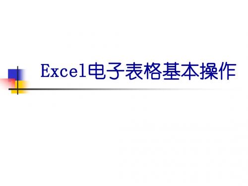 Excel2007实用操作