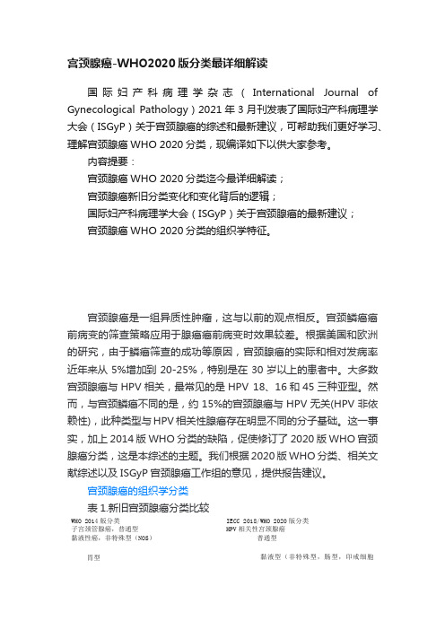 宫颈腺癌-WHO2020版分类最详细解读