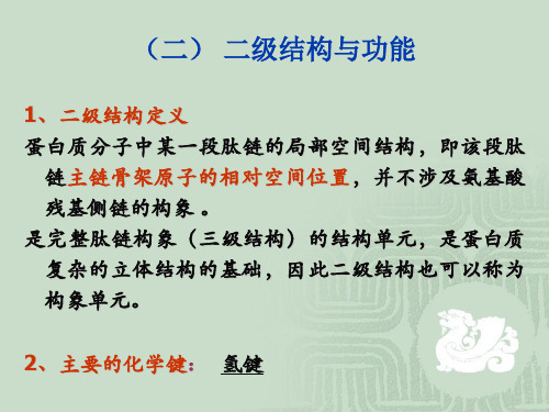 生物大分子的结构和功能(蛋白质篇)课件