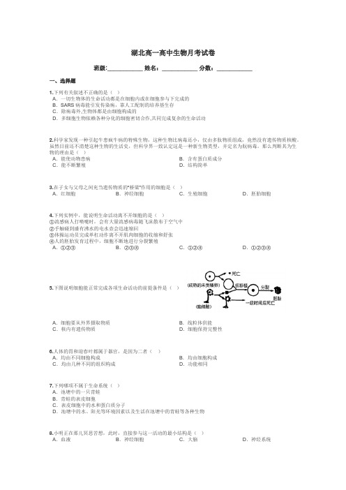 湖北高一高中生物月考试卷带答案解析
