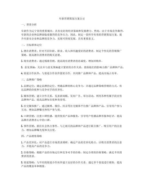 阜新营销策划方案公示