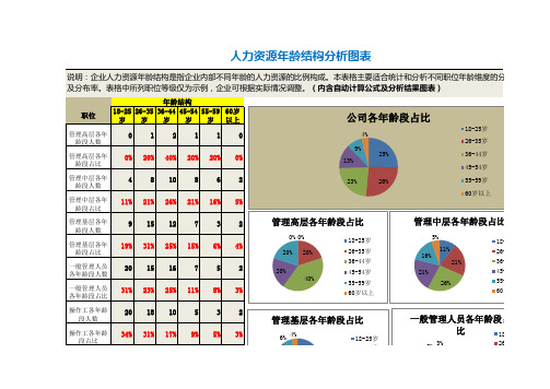 人力资源年龄结构分析表