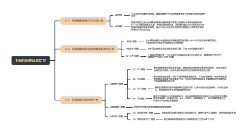 T细胞亚群及其功能(思维导图)