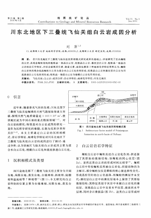 川东北地区下三叠统飞仙关组白云岩成因分析