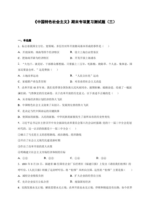 必修一《中国特色社会主义》期末专项检测试题(三)(含解析)-2020-2021学年高一政治期末复习