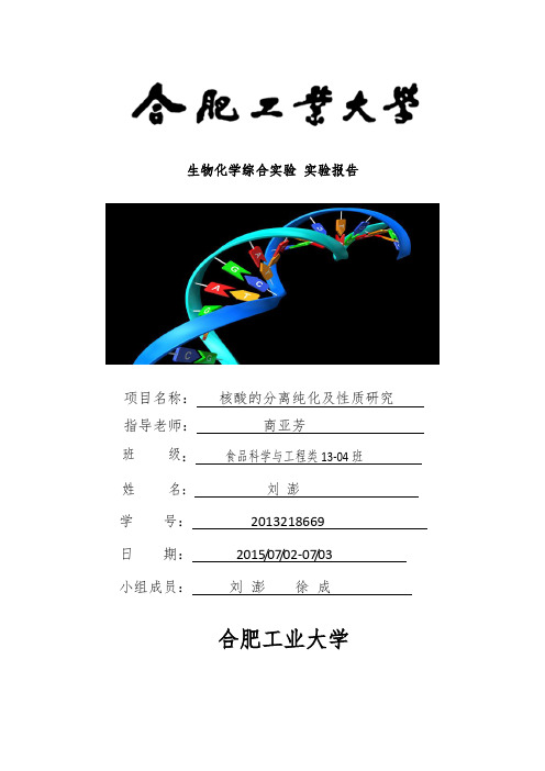 生物化学综合实验实验报告