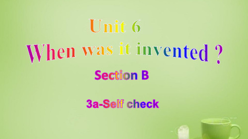 Unit 6 Section B(3a-Self check)九年级英语全册(人教版)