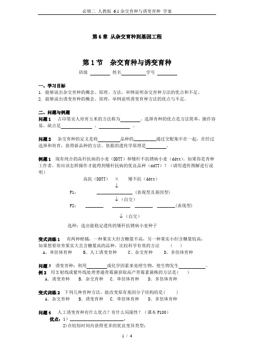 必修二 人教版 6.1杂交育种与诱变育种 学案