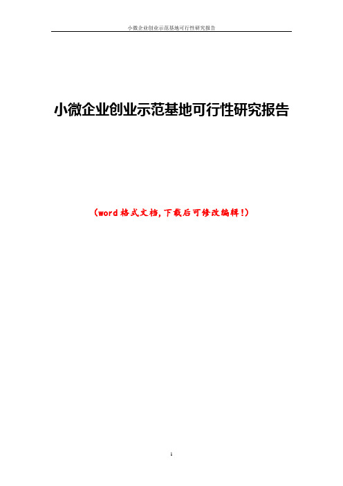 小微企业创业示范基地可行性研究报告