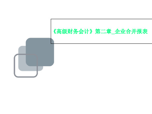 《高级财务会计》第二章_企业合并报表