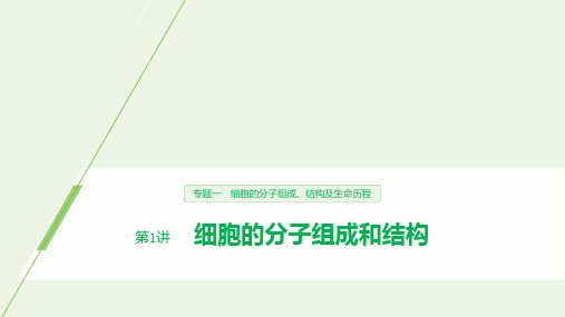 (浙江专用)2020年高考生物二轮复习专题一细胞的分子组成、结构及生命历程第1讲细胞的分子组成和结构课件