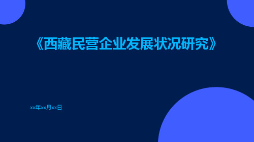 西藏民营企业发展状况研究