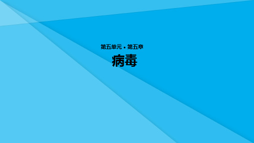 病毒PPT课件39 人教版优秀课件