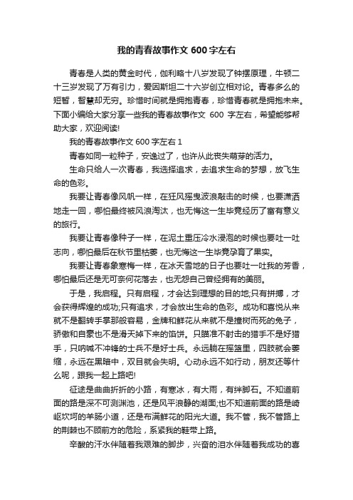 我的青春故事作文600字左右