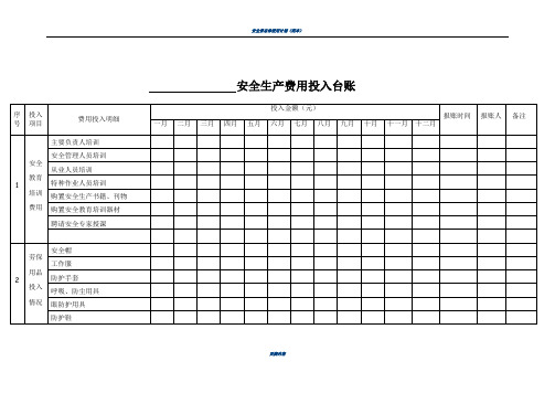 安全生产费用投入台账(模版)