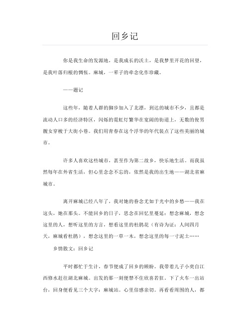 散文回乡记