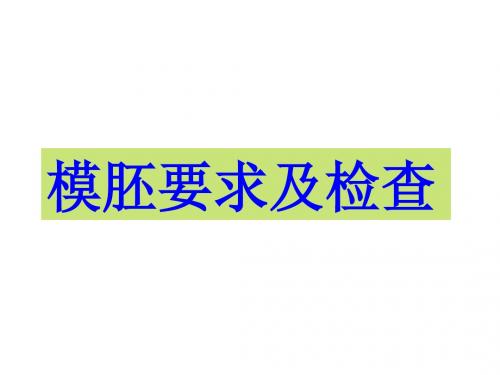 欧美出口模胚外观检验要求