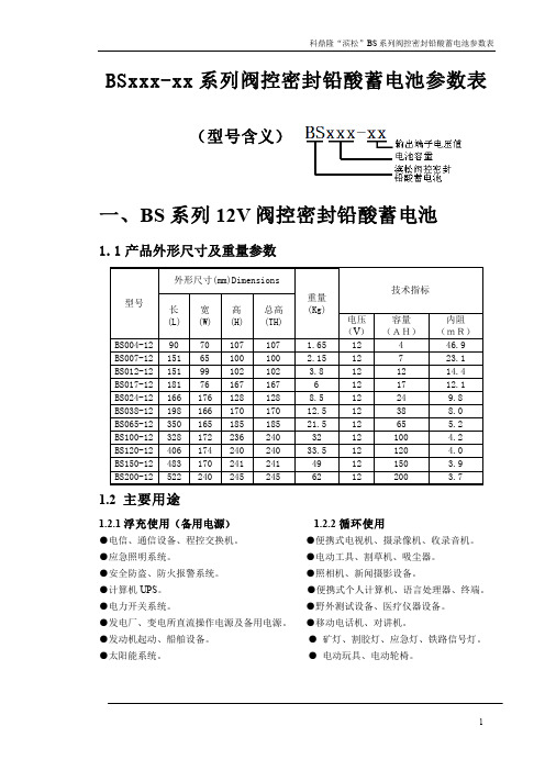 滨松BS系列蓄电池参数表2