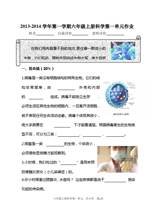 青岛版六年级上册科学第一单元测试