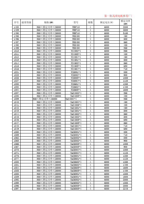 国工高效节能电机推荐目录(窦繁2013)