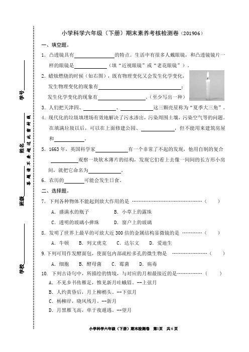 教科版小学科学六年级(下册)期末素养考核检测卷(浙江嘉兴真卷)