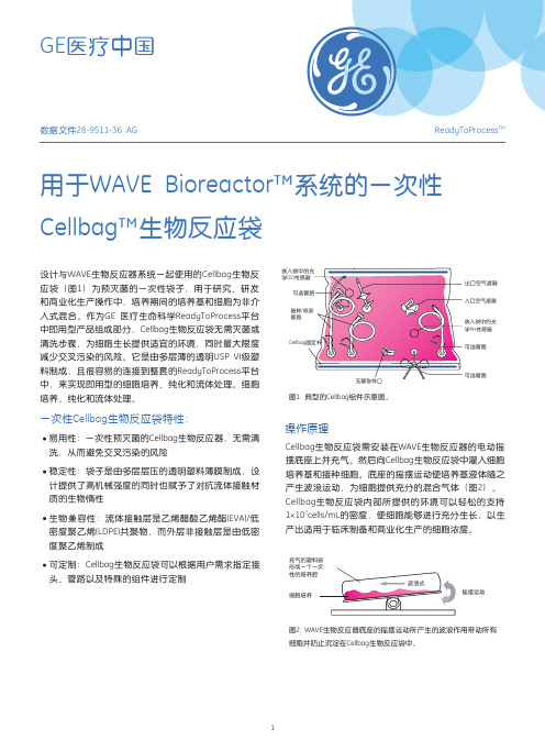 用于WAVE Bioreactor 系统的一次性 Cellbag 生物反应袋