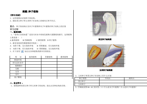 3.1.2种子植物导学案