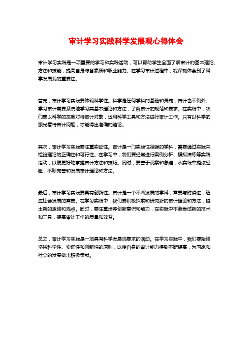 审计学习实践科学发展观心得体会