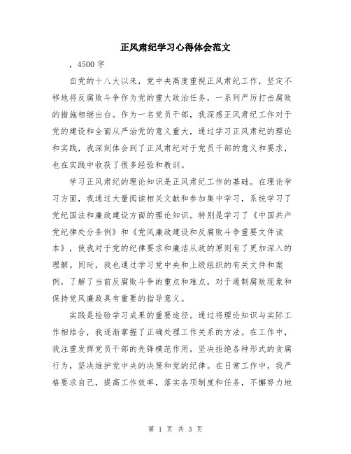 正风肃纪学习心得体会范文