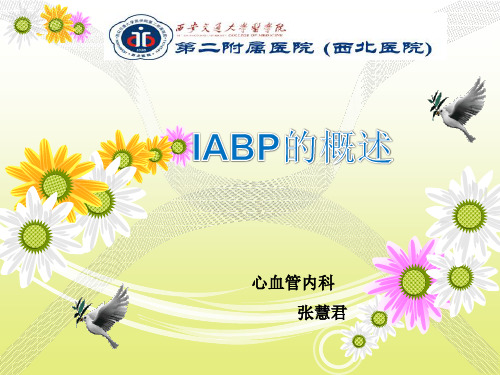 IABP的使用