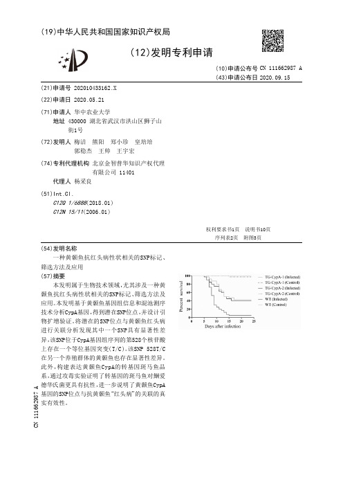 一种黄颡鱼抗红头病性状相关的SNP标记、筛选方法及应用[发明专利]