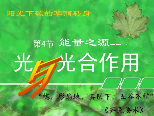 高中生物 必修一 光和作用第1节