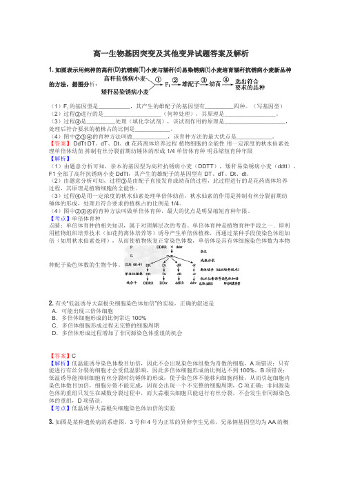 高一生物基因突变及其他变异试题答案及解析
