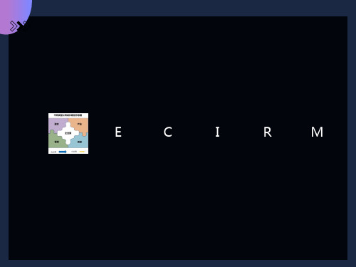 和君咨询ECIRM模型
