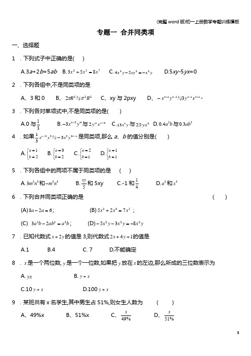 (完整word版)初一上册数学专题训练模板