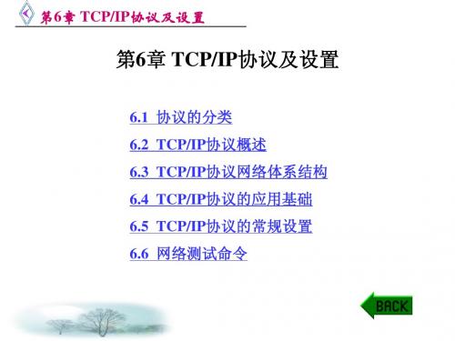 TCP协议及设置