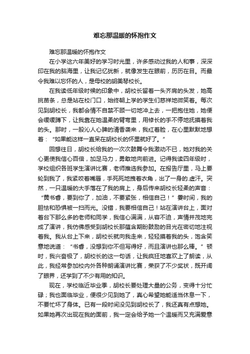 难忘那温暖的怀抱作文